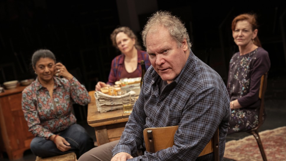 Rita Wolf, Maryann Plunkett, Jay O. Sanders, and Haviland Morris in Richard Nelson's "The Michaels" at the Public Theater. Photo by Joan Marcus.